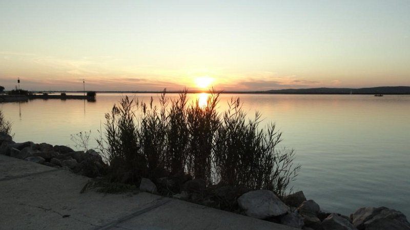 DSC00861 00.JPG - Kezdő művészieskedés.